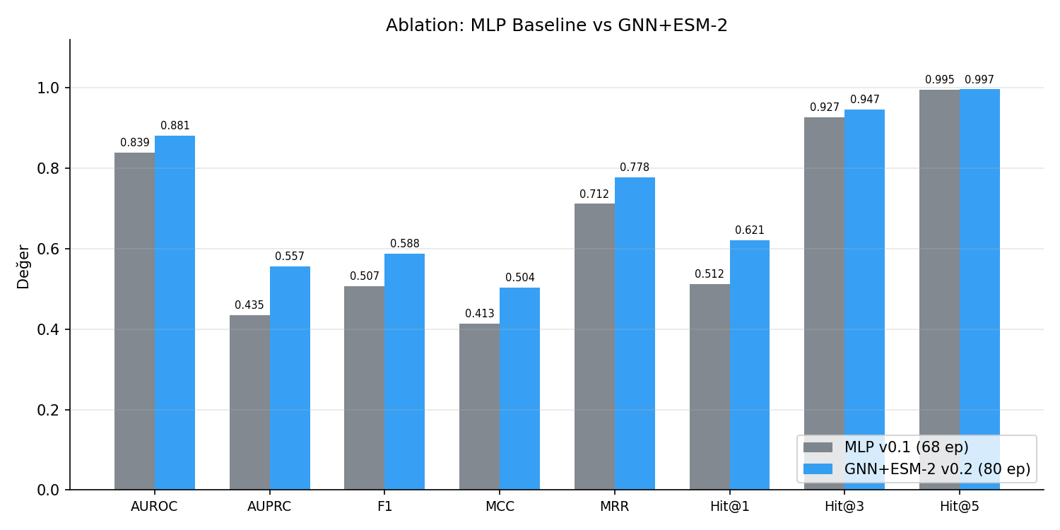 MLP vs GNN+ESM-2 karsilastirmasi